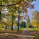 Osada Kujanki - Wakacyjny Zakrzewo (Zlotow)