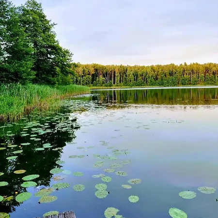 Alpesi faház Osada Kujanki - Wakacyjny