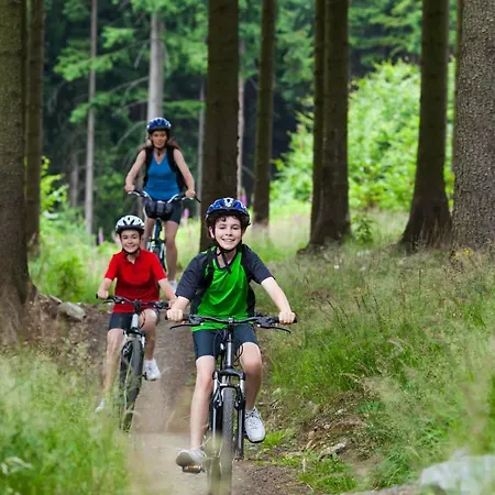 Alpesi faház Osada Kujanki - Wakacyjny