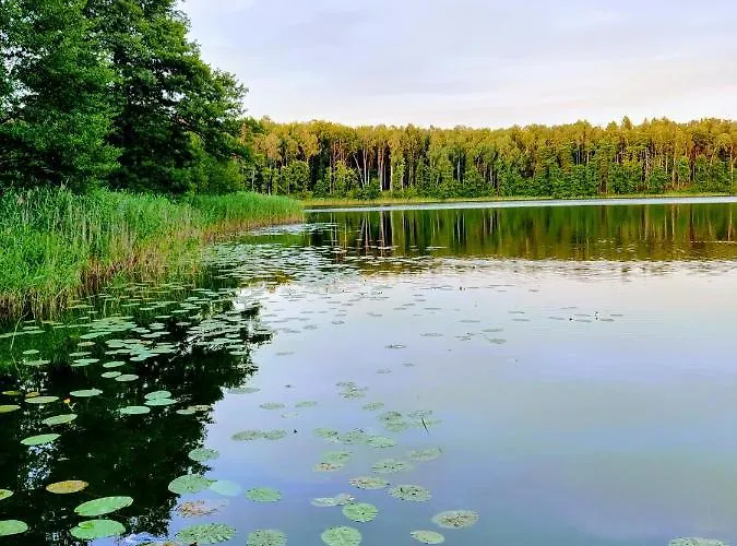 Alpstuga Osada Kujanki - Wakacyjny
