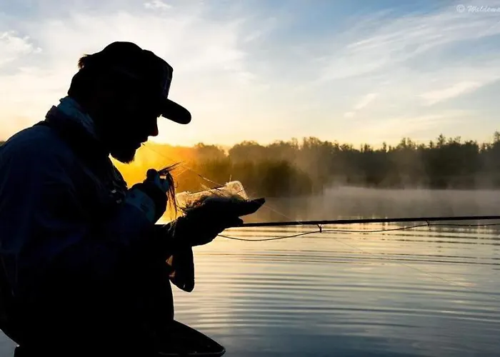 Chalet Osada Kujanki - Wakacyjny