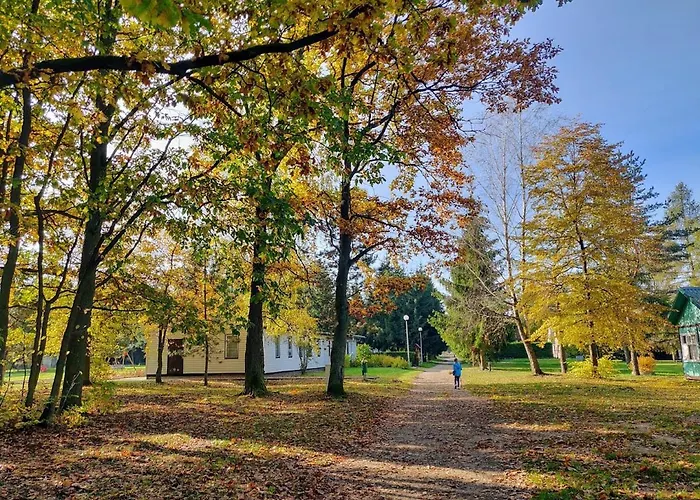 Osada Kujanki - Wakacyjny Zakrzewo (Zlotow)