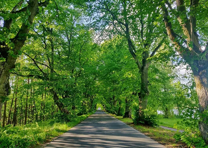 Osada Kujanki - Wakacyjny Chalet *